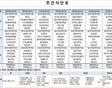 6월 3주차 식단표